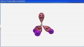 CBSE Class 11 Chemistry  Organic Chemistry Part2  By Shiksha House [upl. by Agathe]