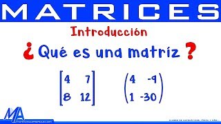 Matrices Introducción  Conceptos básicos [upl. by Brooke]