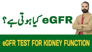 eGFR Test for Kidney Function  Kidney Function Tests [upl. by Gladwin610]