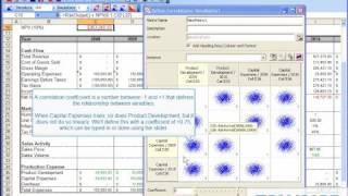 How to Define Correlations in RISK [upl. by Monney]