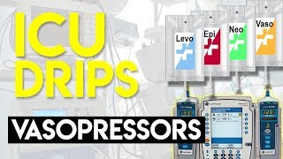 Vasopressors Part 1  ICU Drips [upl. by Kinelski]