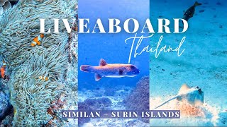 Similan Islands Thailand  An EPIC Diving Liveaboard [upl. by Tolecnal307]