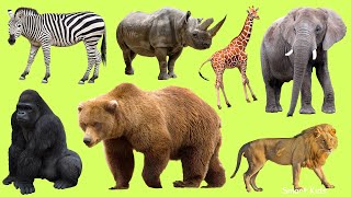 Learn names Zoo Animals in English  Learn Sounds of Zoo Animals for Kids [upl. by Naek]