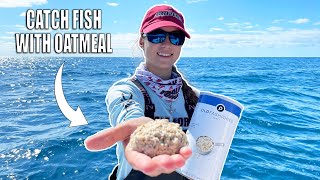 How to Catch Yellowtail Snapper  Fishing with Oatmeal [upl. by Dorsman]