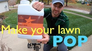 MAKE YOUR LAWN DARKER  Lawn Star Liquid Iron [upl. by Yekcaj]