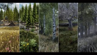 Skyrim SE  ENB Comparison RE Updated [upl. by Wincer701]