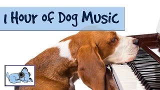 OVER 1 HOUR OF RELAXING DOG MUSIC Music for Dogs Stop Barking Great for Crate Training 🐶 RMD02 [upl. by Rothberg]