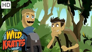 WILD KRATTS  Hiding From A TIGER  Nature [upl. by Cookie]