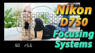 Nikon D750 Tutorial Training  Focusing Systems  How to [upl. by Griffy746]