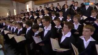 Dresdner Kreuzchor quotDie Himmel erzählen die Ehre Gottesquot H Schütz Gottesdienst Kreuzkirche Dresden [upl. by Edgar]