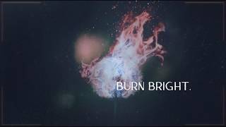 Forest Blakk  WILDFIRE Official Lyric Video [upl. by Hubing28]