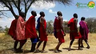 Maasai Warriors dancing and jumping  Kenya [upl. by Enaelem]