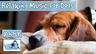 OVER 8 HOURS of Sleep Music for Dogs Help Your Dog Calm Down and Get to Sleep with our Playlist [upl. by Harrie]