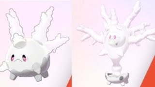 How To Find Galarian Corsola and Evolve It Into Cursola in Pokémon Sword and Shield [upl. by Clower625]