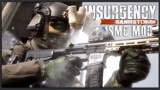 This Insurgency Sandstorm mod is a GAME CHANGER ISMC [upl. by Marquita]