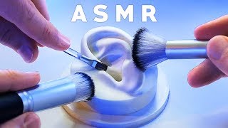 ASMR XXL Brushing amp Brushes ONLY Compilation NO TALKING Tingle Study Sleep Relax [upl. by Sibyl148]