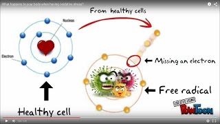 What happens to your body when having oxidative stress [upl. by Arnaud]