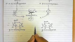 5 Sugar isomers Part4 Mutarotation [upl. by Mutua]