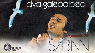 Saban Saulic  Dva galeba bela  Audio 1979 [upl. by Nylrac248]