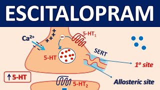 Escitalopram Lexapro  Mechanism precautions side effects amp uses [upl. by Eniahs]