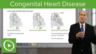 Coronary Artery Anatomy 3D Anatomy Tutorial  UKMLA  CPSA  PLAB 2 [upl. by Akehs]