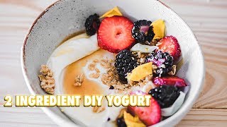 How To Make Your Own Yogurt With 2 Ingredients [upl. by Helene6]