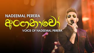 Anganawo  Voice Of Nadeemal Perera [upl. by Tedman514]