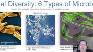 Chapter 1 Introduction to Microbiology [upl. by Glenden]