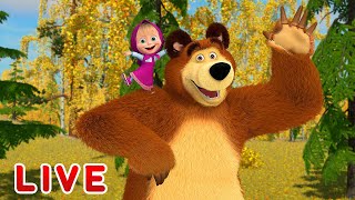 Masha and the Bear 🎬💥 LIVE STREAM 💥🎬 Best cartoons for children [upl. by Ahsile]