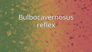 Bulbocavernosus reflex [upl. by Standish]