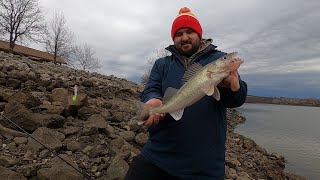 WALLEYE FISHING IN MISSOURI below truman lake dam [upl. by Daas]