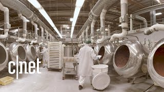 Jelly Beans How Its Made Entire Jelly Belly Factory Insider Tour 🍬 [upl. by Ainoyek]