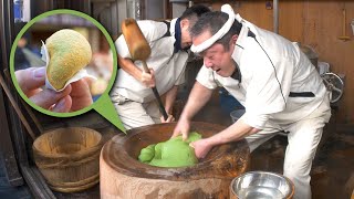 Nara Street Food Guide w Extra Mochi [upl. by Betsey]