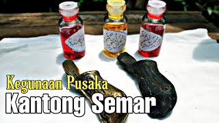 Kegunaan Pusaka Kantong Semar [upl. by Witt]