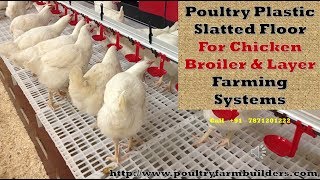 Poultry Plastic slatted flooring for broiler chicken farming [upl. by Kessiah]