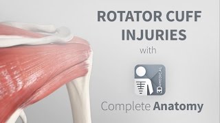 Rotator Cuff Injuries  Complete Anatomy [upl. by Mullen982]