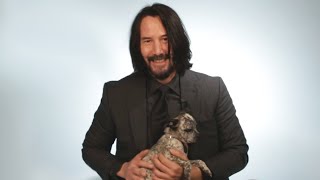 Keanu Reeves Plays With Puppies While Answering Fan Questions [upl. by Drhacir811]