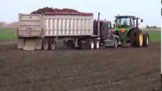 Sugar Beet harvest in Minnesota 2013 [upl. by Semyaj]