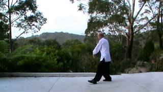 Wu Style Tai Chi 108 Movements Complete [upl. by Eilsek562]