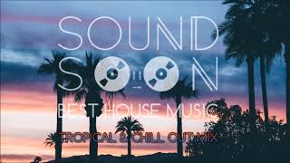 MUSICA DA APERITIVO RELAX 2020 TROPICAL HOUSE 🌴 Dua Lipa Martin Garrix Kygo Sia Style 🌴 Chill Out [upl. by Emmy]