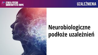 Neurobiologiczne podłoże uzależnień – dr n med Joanna Krawczyk [upl. by Sigfrid]