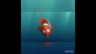 Finding Nemo [upl. by Ernestus540]