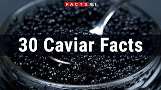 30 Caviar Facts About The Roe From The Sturgeon Beluga [upl. by Nevaj389]