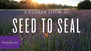 A Closer Look at Seed to Seal  Young Living Essential Oils [upl. by Nyahs684]