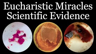 Scientific Evidence of Eucharistic Miracles  Inspired By Carlo Acutis [upl. by Alaine]