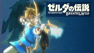 ゼルダの伝説 ブレス オブ ザ ワイルド 実況 第1回 [upl. by Granny]