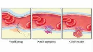 Preconditions of Microsurgical Skill [upl. by Anaud]