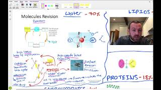 Molecules mindmap OCR A Level Biology 22 [upl. by Runkel]