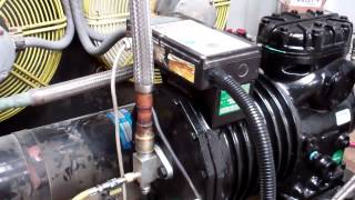 Copeland Compressor Oil Change [upl. by Arahs]