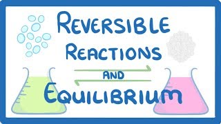 GCSE Chemistry  Reversible Reactions and Equilibrium [upl. by Ateekal613]